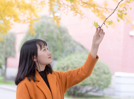 相对贴纸签证，马来西亚电子签证优势在哪里